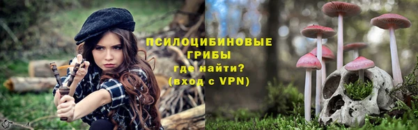 каннабис Дмитров