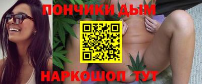 гидропоника Будённовск