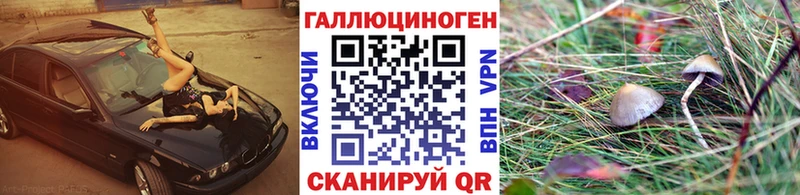 Галлюциногенные грибы прущие грибы Ессентуки