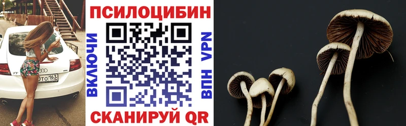 Галлюциногенные грибы Psilocybine cubensis  где купить наркоту  Ессентуки 