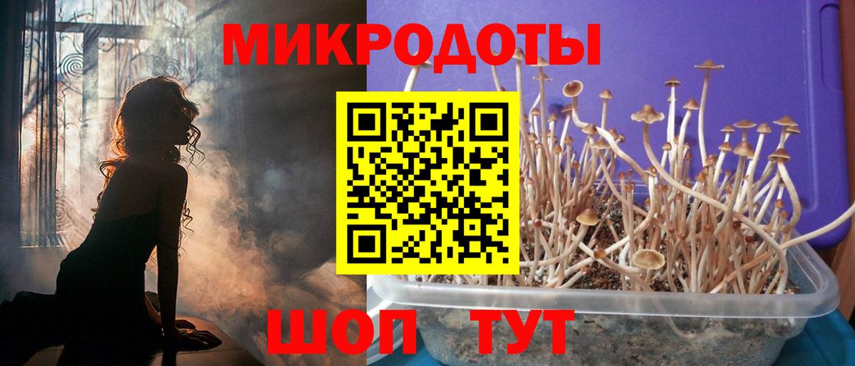Ессентуки  Галлюциногенные грибы мицелий  Вход с VPN 