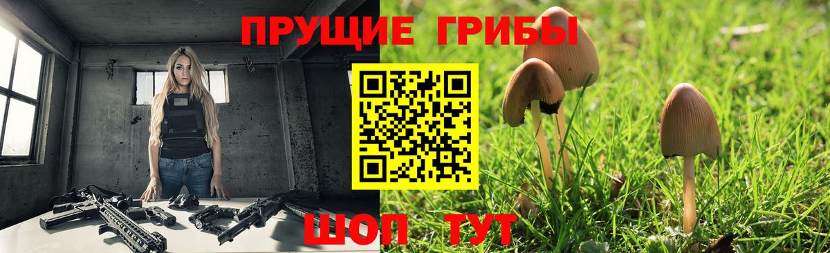 Галлюциногенные грибы ЛСД  сколько стоит  Ессентуки 